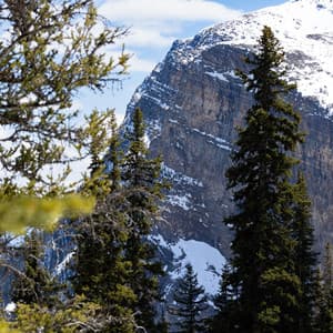 Mountain Majesty: Ethereal Melodies in Nature's Lap - Nature Soundzzz Club