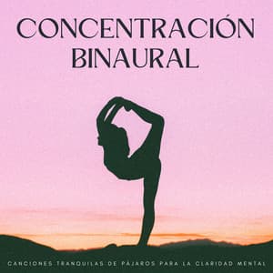 Concentración Binaural: Canciones Tranquilas De Pájaros Para La Claridad Mental - Pájaros en el Bosque