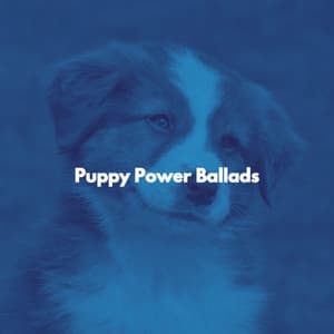 Puppy Power Ballads - Morgen Jazz