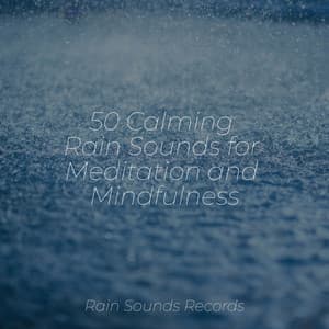 50 Calming Rain Sounds for Meditation and Mindfulness - Forest Sounds