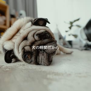 犬の時間だから - Calm Dinner Music