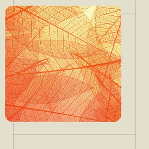 Subtle - Cheerful Instrumental Cafe Jazz