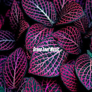 Green Leaf Music - Jazz Suave