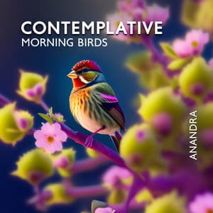 Contemplative Morning with Zen: Peaceful Ambient Music with Birds, and Bamboo Water Fountain for Rejuvenation, Vitality, and Positivity - Anandra