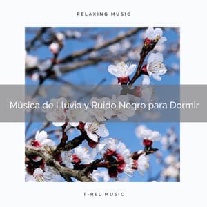 Música de Lluvia y Ruido Negro para Dormir - Ruido Blanco Para Estudiar