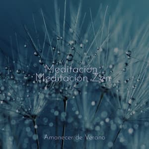 Meditación Meditación Zen - Sonidos De Truenos y Lluvia