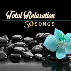 Total Relaxation: Music for Serenity Top 50 - Relaxation Guru