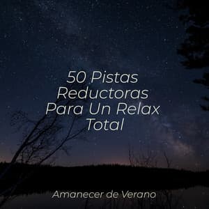50 Pistas Reductoras Para Un Relax Total - Musica de Piano Escuela