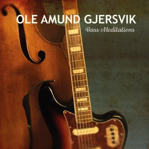 Bass Meditations - Ole Amund Gjersvik