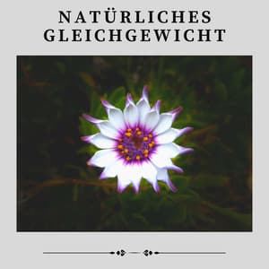 Natürliches Gleichgewicht - Naturgeräusche Meditationsmusik