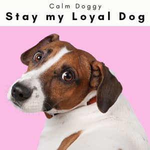 4 Paws: Stay my Loyal Dog - Calm Doggy