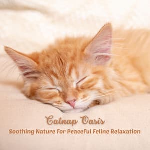 Catnap Oasis: Soothing Nature for Peaceful Feline Relaxation - Feel The Nature