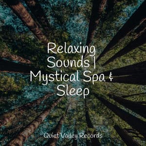 Relaxing Sounds | Mystical Spa & Sleep - Rain Sounds & White Noise