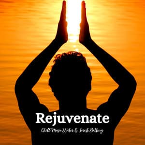 Rejuvenate: Chill Music Water & Forest Bathing - Water Rock Soundscapes