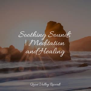 Soothing Sounds | Meditation and Healing - Nature Soundscape