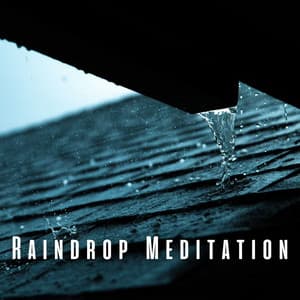 Raindrop Meditation: Serene Rain and Binaural Sounds - Meditation Rain Sounds