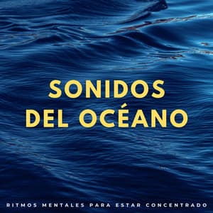 Sonidos Del Océano: Ritmos Mentales Para Estar Concentrado - Los sonidos de las olas del mar