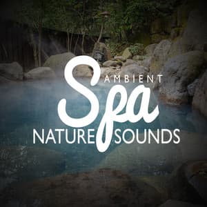 Ambient Spa Nature Sounds - Ambient Nature Sounds