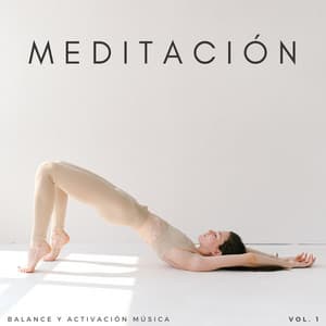 Meditación: Balance Y Activación Música Vol. 1 - Curación manifiesta de energía en órbita de 741 Hz