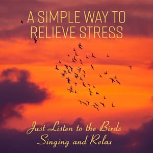 A Simple Way to Relieve Stress Just Listen to the Birds Singing and Relax - Wellbeing Zone