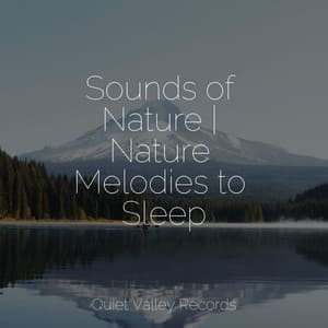 Sounds of Nature | Nature Melodies to Sleep - Winds and Oceans