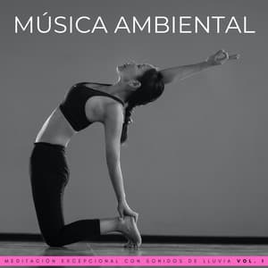 Música Ambiental: Meditación Excepcional Con Sonidos De Lluvia Vol. 1 - Meditación de lluvia