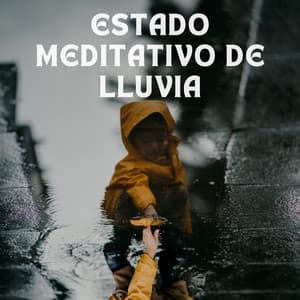 Estado Meditativo De Lluvia - Cascada de Lluvia