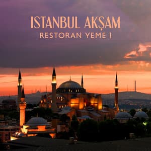 İstanbul Akşam Restoran Yemeği: 22:00 Geç Akşam Yemeği ve Muhteşem Atmosfer, Türk Caz Salonu, Yıldızlı Şehir Manzarası, Yavaş Oluklar, Kokteyl Salonu - Enstrümantal Caz Akademi