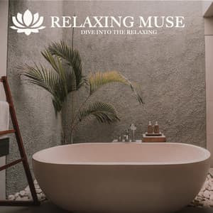 DIVE INTO THE RELAXING - Relaxing Muse