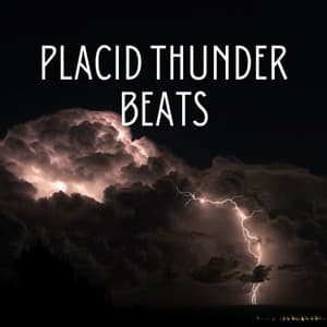 Placid Thunder Beats - The Relaxing Sounds of Swedish Nature