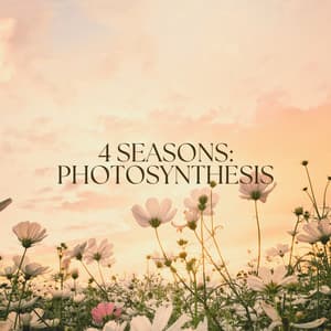 4 Seasons: Photosynthesis - Baltic Nature Sounds