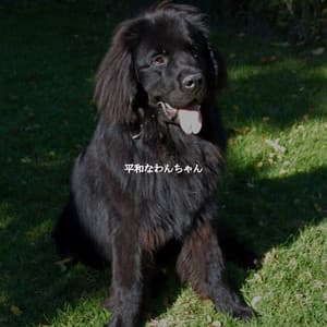 平和なわんちゃん - Klassischer Jazz