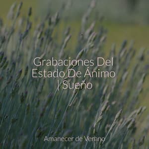 Grabaciones Del Estado De Ánimo | Sueño - Música relajante con sonidos de la naturaleza