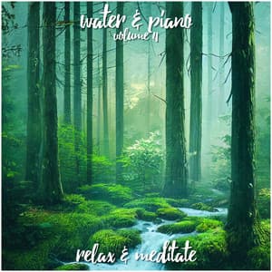 Water & Piano - Volume 4 - Relax and Meditate