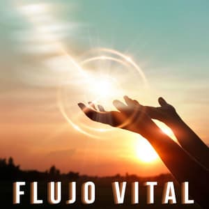 Flujo Vital: Música Relajante para la Práctica del Reiki - Reiki Armonía