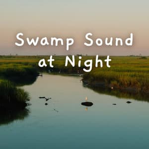 Swamp Sound at Night - Water Sound Natural White Noise