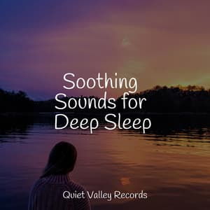Soothing Sounds for Deep Sleep - Rainforest