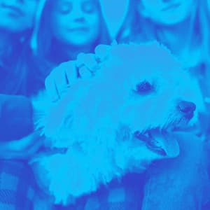 Echoes of Puppy Blues - Sleepy Dogs