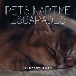 Ambient Rain: Pets Naptime Escapades - Sleep