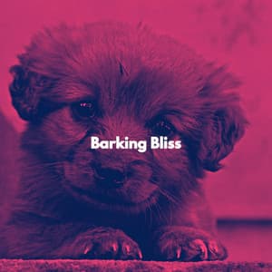 Barking Bliss - Working from Home Playlist