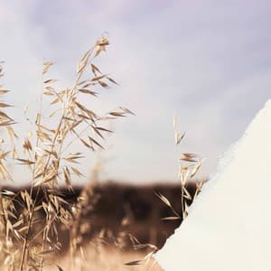 Jazz Trio - Background for Lazy Days - Soft Background Jazz