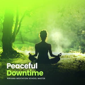 Peaceful Downtime - Nirvana Meditation School Master