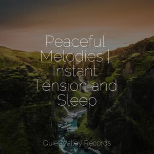 Peaceful Melodies | Instant Tension and Sleep - Rain Sound Studio