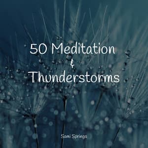 50 Meditation & Thunderstorms - Guided Meditation Music Zone