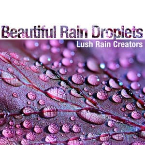 Beautiful Rain Droplets - Lush Rain Creators