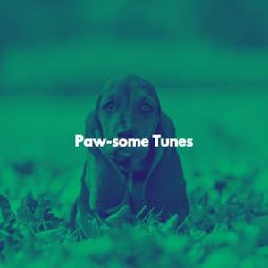 Paw-some Tunes - Dinner Party Jazz Radio