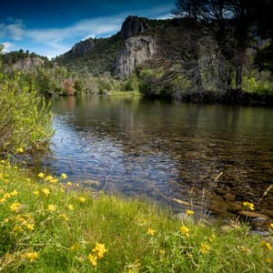 Productivity by the Water: Chill Music Water's Flow - Water FX