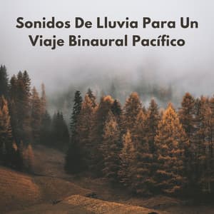 Sonidos De Lluvia Para Un Viaje Binaural Pacífico - Bob binaural