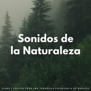 Sonidos De La Naturaleza: Piano Y Grillos Para Una Tranquila Experiencia De Masajes - La naturaleza llama
