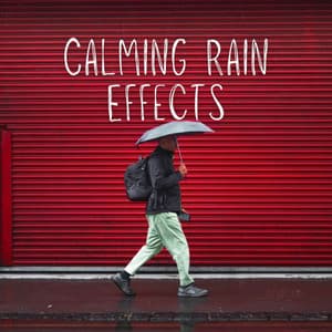 Calming Rain Effects - Pure Spa Massage Music